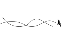 �C���[�W
