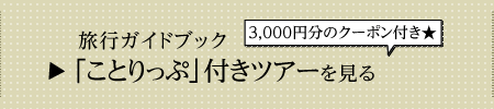 ���s�K�C�h�u�b�N�u���Ƃ���Ձv�t���c�A�[������